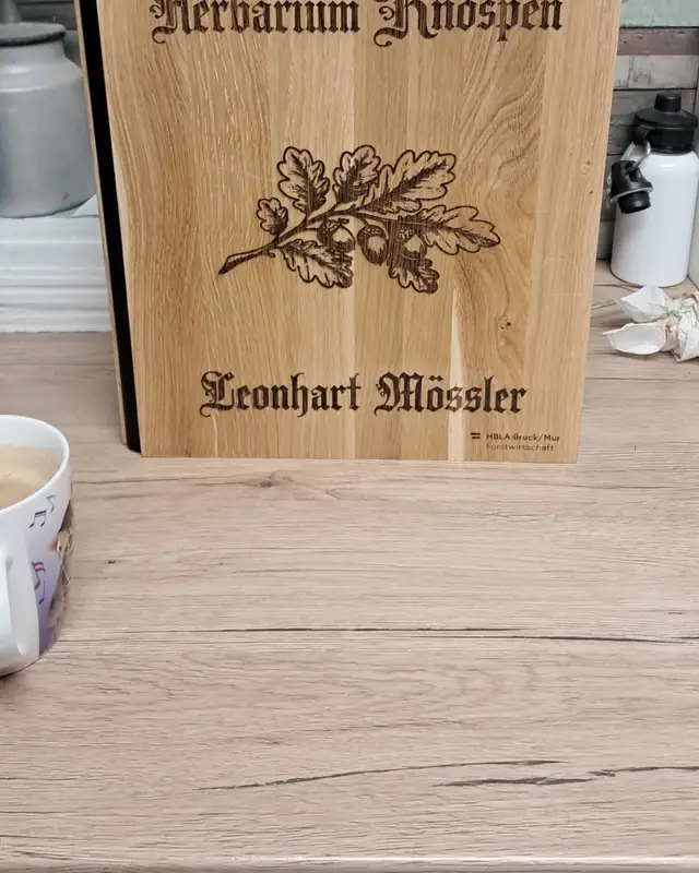 Holzbox mit graviertem Schriftzug „Herbarium Knospen“ und Blattmotiv